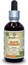 Černý rybíz (Ribes nigrum) Tinktura, sušený listí tekutý extrakt (značka: HerbalTerra, Proudly Made in USA) 2 fl.oz (60 ml)