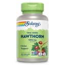 SOLARAY Hawthorn Berry Kapsle 1050 mg - Soothing Herbal Support - Hawthorne Berry Supplement pro celkovou wellness podporu - All Berry, Vegan, Non- GMO, 60 Day Garance, 90 Servings, 180 VegCaps
