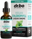 Chlorofyl Liquid Kapky Tělo Detox - Vegan Liquid Chlorofyl Kapky Odor Čištění Dodatek, Energie a imunitní podpora, Vnitřní deodorant, Tělo Deodorační dodatek - Přírodní deodorant Voda 2 oz