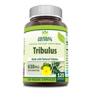 Bylinné tajemství Tribulus 630 Mg 120 Veggie Kapsle Dodatek 124; Non- GMO 124; Gluten zdarma 124; Made in USA
