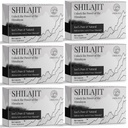 30 000 MG Shilajit Tablety, 100% Shilajit Pure, Himalayan Organic, Shilajit pro muže a ženy bohaté na Fulvic Acid & 85 + Stopové minerály, Shilajit dodatek pro energetický a imunitní systém, 360 Počet