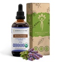 Tajemství kmene Bugleweed Tincture Alcohol- Free Liquid Extract, USDA Organic Bugleweed (Lycopus Virginicus) Sušený Herb (4 FL OZ)