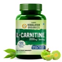 Himalájské organizace L- karnitin L- tartarát se zeleným Tea Extract 2000 Mg Sb. 124; Zdravé řízení hmotnosti 124; Podporuje svalové zotavení, zvýšení energie, vytrvalost a spalovací tuk -120 Vegetariánské tablety
