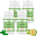 Přírodní a čistá bylina Garcinia CAMBOGIA (Garcinia) Extrakt Kapsle 124; Nejvyšší potence, 100% Bylinný produkt 124; Balení 60 x 500 mg. Veg. Kapsle (Balení 4 Jar)