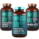 WILD FUEL Amino Acids, HMB a Fadogia Agrestis Complex Power & Potencial Bundle
