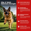 Dog Hip a společný dodatek - Psí bolest proti zánětu Glucosamine, Chondroitin, MSM, kurkuma, vitamin E, Omega 3 - Léky Hip Dysplazie, Artritida - Všechny velké malé střední plemeno