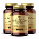 Solgar Methylkobalamin (vitamin B12) 5000 mcg, 60 Nuggets (balení po 3) - třešňový flavor - Podporuje energetický metabolismus - Body- Ready, Aktivní forma - Non- GMO, Vegan, gluten zdarma - 180 Celkem
