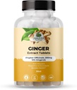 Amazing Botanicals Ginger Root Extract Tablety 200 mg - 10% Gingerols, 20 mg na tabletu, 30 tablet