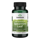 Swanson Spearmint Leaf (Mentha Spicata) - Kompletní dodatek ke spektru Bylinné doplňky Podpora trávicího zdraví & Mírné otázky žaludku - Přírodní vzorec Podpora zdraví & Wellness - (60 Kapsle, 400mg každý)