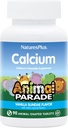 NaturesPlus Animal Parade vápník, Vanilla Sundae Flavor - 90 Animal- Shaped Chewable Tablety - Balení po 2 - Promotes Zdravé kosti - Vegan, Gluten zdarma - 180 Celkem Podání