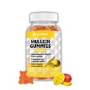 Mullein Gummies, 2000mg Organic Mullein Leaf Extract with Quercetin, Bromelain & Vitamin D3, Mullein Leaf Extract for Respirační, Natural Lung Cleanse, Zlepšit appetit, Vegan, Non- GMO, 1 Pack