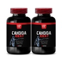 arabinogalaktan, doplněk střevní flóry, aloe vera prášek organický - CANDIDA AWAY COMPLEX - oregano olejové kapsle, červí dřevo doplněk kapslí, imunitní posilovač, podpora kandida - 2 Lahvička 120 Caps