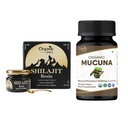 OrganIC SPREE Pure Himalayan Shilajit Resin & Mucuna Dodatek - 20g & 120 Tablety - 85 + Stopa Mineral Fulvic Acid Resin & USDA Organic Mucuna Pruriens