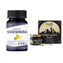 OrganIC SPREE Gokshura & Himalayan Shilajit - USDA Organic Tribulus Terrestris 120 Tablet & 20g Resin s 85 + stopové minerály - podporuje energii a imunitní zdraví *