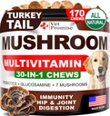 Houba pro psy - 170 Žvýkačky - Turecko Tail - Houbový dodatek pro psy - Lví hříva - Reishi - Podpora imunity Multivitamin Vitamíny - Společné zdraví - Energie - Gut - Skin - Made in USA
