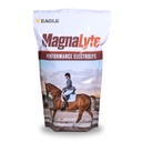 MagnaLyte Loose Salt and Electrolytes for Horses by Eagle Equine OF 124; Mineral sea Salt, Trace Minerals, Electrolytes OF 124; 4 LB Bag
