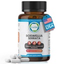 Botwellia Serrata 600mg 65 Bothellic Acid Extract podporuje Joint Comfort, Flexibility & Mobility Natural Herbal Wellness Dodatek Vegan, Non- GMO, Gluten- Free 90 Veg Kapsle.