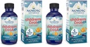 Nordic Naturals Children 's DHA Xtra, Berry Punch - 2 oz for Kids - 880 mg Total Omega-3s with EPA & DHA - Cognitive & Imunitation Function, Learning, Social Development - Non- GMO - 48 Servings (Pack of 2)