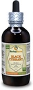 Černý rybíz (Ribes nigrum) tinktura, sušený listí tekutý extrakt (značka: HerbalTerra, Proudly Made in USA) 4 fl.oz (120 ml)