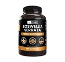 Čisté původní ingredience Boswellia Serrata (365 kapslí) Ne hořčík nebo rýžové plnidla, Vždy čisté, Laboratorní ověřené