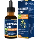 Collinsonia (Stone Root) Drops for Urinary Tract Health, Natural Bylinné Formule Dodatek w / Stone Breaker Chanca Piedra Extract Support Ledney Stones Dissolver & Detox Cleanse. 2oz