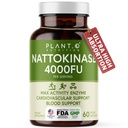 Nattokináza Dodatek s Max Enzyme Support - 4000 FU per Serving - Premium Nattokináza Formule pro podporu srdečního zdraví - 60 Kapsle - Made in USA