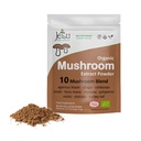 Houba Extract Powder - Výkonný 10 Směs, Organic Lions Mane, Cordyceps, Reishi, Shiitake, Turecko Tail Houby Nootropic Mozek Dodatek pro energii, klid, Zaostření a imunitní systém Booster