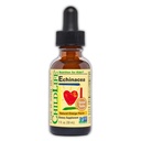 Dětský život ESSENTIALS Echinacea pro děti - Děti Echinacea kapky, tekuté tinktura, Alkohol zdarma dodatek pro děti, Toddlers, děti - přírodní pomeranč, 1 Fl Oz (balení po 1)