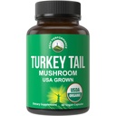Peak Performance Organic Turkey Tail Capsules - USA Grown Made with Real Turkey Tail Houba. Imunitní systém podpora Přirozeně sklizené houby doplňky pro imunitu. Veganský dodatek extrakt