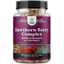 Vysoké síly Hawthorn Berry Kapsle - Čistá antioxidant Hawthorn Berry dodatek s listem & Květinový extrakt 4: 1 pro zdravé srdce a stravení - Energetická podpora pro muže a ženy - 240 Count Pack