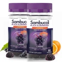 Sambucol Black Elderberry Gummies s vitamínem C & Zinek - Sambucus Elderberry Gummies pro imunitní podporu, High Antioxidants, gluten Free, Vegan, Elderberry s zinem & Vitamin C - 30 Počet, 2 Pack