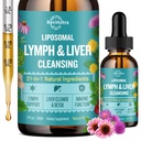 Liposomální lymfatické odvodnění Kapky, Jaterní čištění Detox a opravy Tekutý dodatek s Mlékem Thistle, Pampeliška, Burdock Kořen & Echinacea - Lymfa & Játra Detox, Antioxidant, Přírodní Flavor 2 Fl Oz