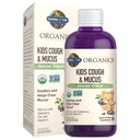 Zahrada života Organics Elderberry & Zink pro dětskou imunitní podporu, Děti kašel & Mucus imunitní syrup s Ivy Leaf, Vitamin C a Echinacea pro děti, Alkoholicko-Free, No Add Sugars, 3.92 fl oz
