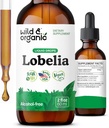 Wild & Organic Lobelia Tincture - Bylinné lunga Cleanse and Detox - Liquid Lobelia Extract Supplement - Vegan, Sugar & Alcohol- Free Herb Drops - 2 fl oz