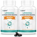 Orgabay Liposomal NAD + Příplatek 500 mg, vysoká absorpce, zvýšení NAD + s TMG 250 mg, skutečný NAD Plus účinnější než nikotinamid Riboside, podpora buněčné energie, zdravé stárnutí 124; 120 Softgels