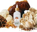 Rainbo - 11: 11 Multi Houba tinktura - 11- in-1 Alkohol zdarma - Dual Extract Houba Blend - Komplexní imunitní podpora, Brain Support, Liquid Lion 's Mane & Turkey Tail, Vegan, Non GMO, 3.4 fl oz