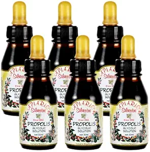 Udržujte zdravou hladinu glukózy a kardiovaskulární zdraví - 6 lahví hodnota balení Brazilské zelené Bee Propolis tekuté glykolické extra- non alkoholik, vosk zdarma, cukr zdarma (PG)