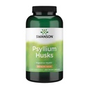 Swanson Psylium Husk Dietní doplněk vlákna 610 mg 300 Kapsle