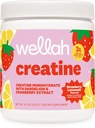 Wellah Creatine for Women - Creatine Monohydrát s výtažkem Dandelion & Cranberry (50 Služeb, Jahodová limonáda)