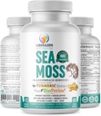 Organic Irish Sea Moss Pills - Wildcrafted Dr. Sebi Inspired Seamoss Blend with Turmeric, Burdock Root & Bladderwrack, Enhanced with Black Pepper - 60 Kapsle