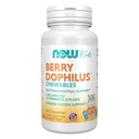 Nyní Potraviny Doplňky, BerryDophilus ™ s 2 biliony, 10 Probiotických proužky, Xylitol Sweeced, Stuin ověřený, 60 Žvýkací, balení se může lišit