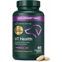 VetriScience Quick Action UT Health Chewable Tablety, UT Strength STAT Dodatek pro psy, Cranberry, Uva Ursi, a Chanca Piedra na Soothe Nutriční Trakt Nepohodlí, Kouř, 90 Počet
