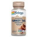 SOLARAY fermentované Turecko Tail Houba Dodatek 1000mg - Celková Wellness Support - Turecko Tail Houba Kapsle s organickými houbami - Vegan, Non- GMO, Laboratoř ověřená, 60- denní záruka, 30 Služeb