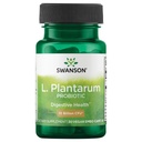 Swanson L. Plantarum - Dědičný dodatek Podpora Gastrointestinální rovnováhy & Bowel Regularita - Přírodní vzorec, který pomůže snížit nadýmání - (30 Veggie Kapsle)