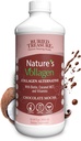 Pohřbený poklad Příroda Vollagen - 2000mg Vollagen Complex, kůže, vlasy, a společné zdraví, 100% Plant- based, gluten- Free, Soy- Free, Dairy- Free, Chocolate Mocha Flavor, 16oz Liquid
