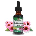 Odpověď přírody Echinacea Alkohol Free Extract 1 Fluid Ounce current 124; Promotes Celkově Wellness current 124; Natural Imunitate Booster current 124; Zánět Reducer