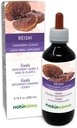 Naturalma Reishi (Ganoderma lucidum) Fungus nebo Houba Alcohol- Free tinktura - 6.76 fl oz Liquid Extract in Drops - Bylinný dodatek - Vegan