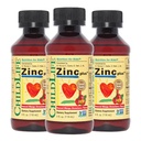 Dětský život ESSENTIALS Liquid Zinek Plus pro děti a batolata - Liquid Supplement Kapky, Zinek Gluconát & Měď pro imunitní podporu - Mango Jahoda, 4 Fl Oz (balení po 3)