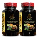 Prostate Support Complex - Prostate Zdravé pilulky, Podpora močových cest, Mens Denní Vitamin Prostate Podpora, Saw Palmetto Extract pro Prostate - 2 Lahve 120 Kapsle