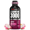 ProSupps L- Carnitin Liquid 3000, Stimulant- Free Liquid Shots for Men & Women - Clean Workout Drink for Energy, Performance & Muscle Recovery - No Sugar, No Carbs - 31 Servings, Dragon Fruit